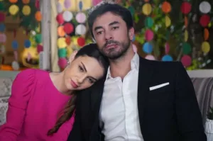 описание турецкого сериала Сердечная рана