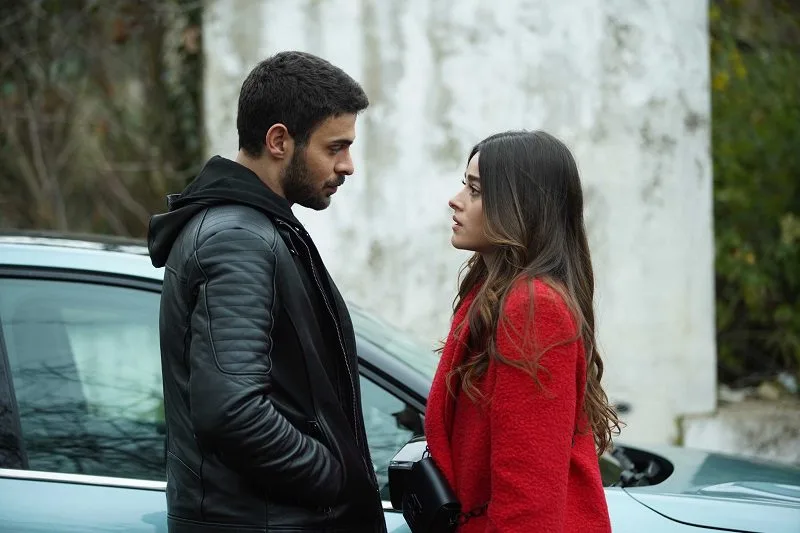 Описание 19 серии сериала «Дикий»