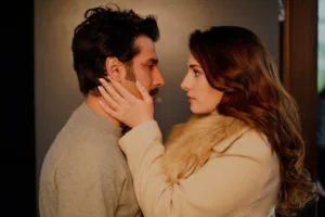 Описание 20 серии сериала «Спрячь меня»